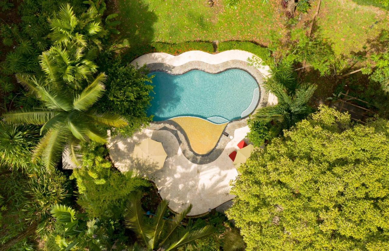 La Ponderosa Otel Pavones  Dış mekan fotoğraf