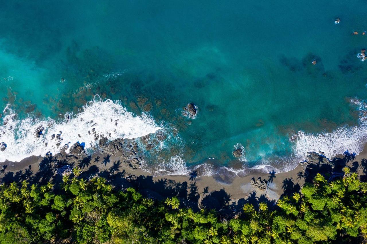 La Ponderosa Otel Pavones  Dış mekan fotoğraf